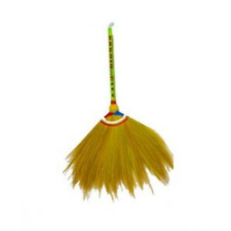 Philippine Broom / Walis Tambo